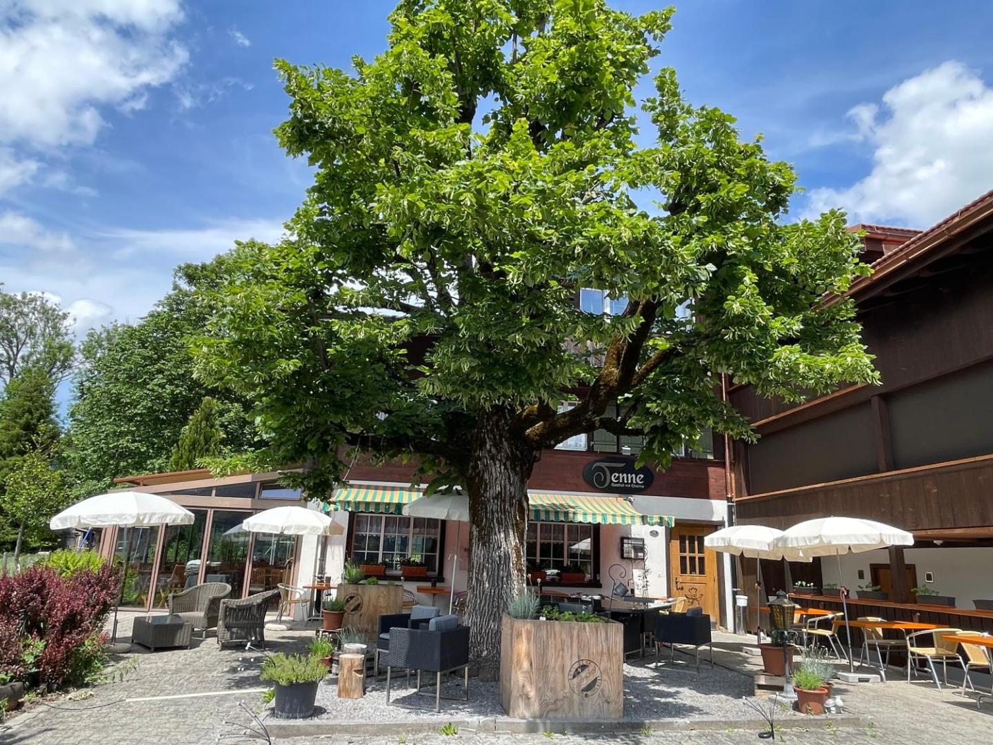 Gasthof Tenne - Ferie mit Härz 1