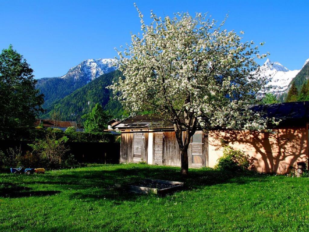 Haus Stainer 5
