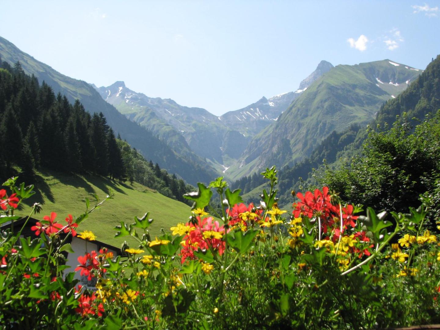 Ferienparadies Spielmannsau 2