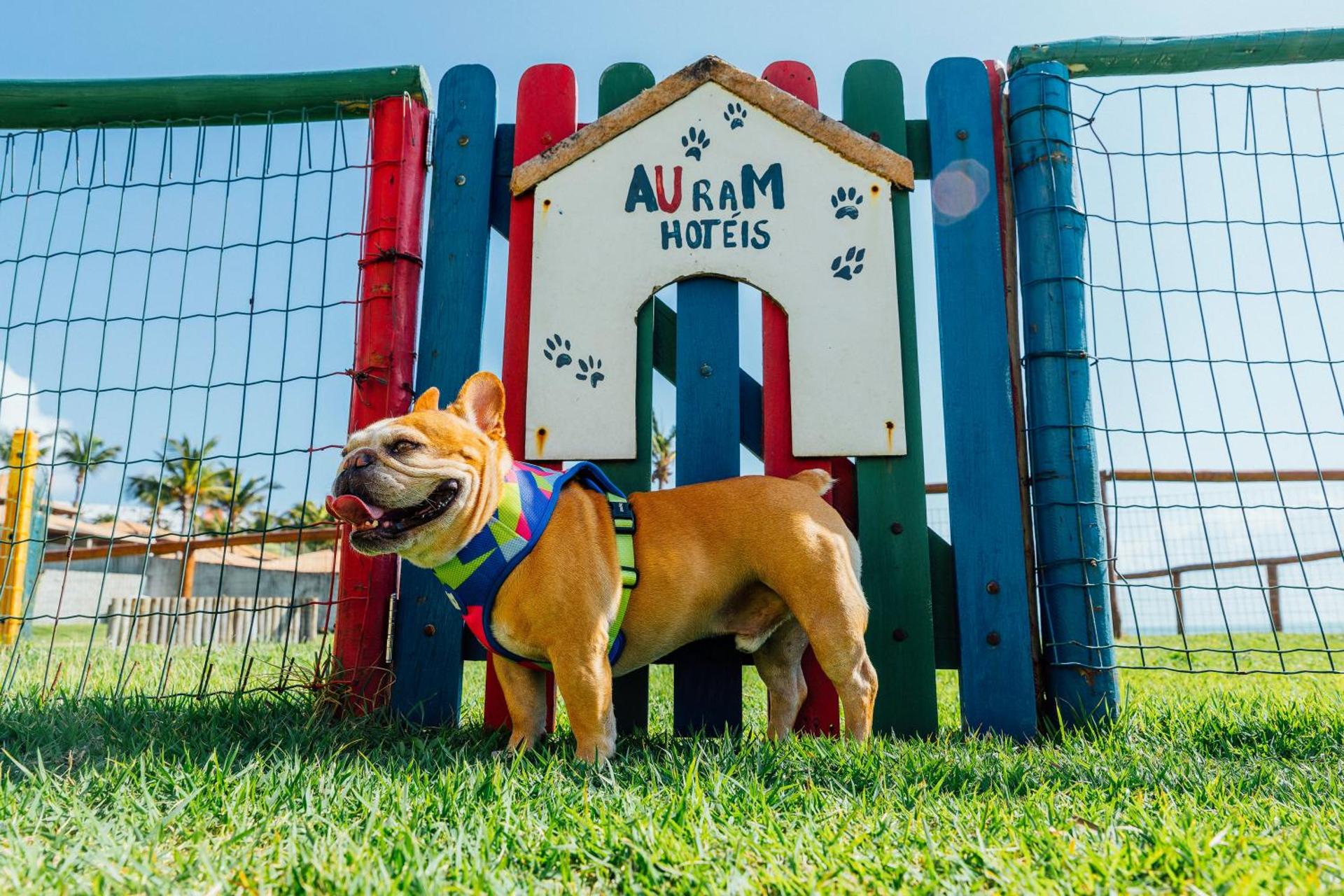 Pet ou pets ficando com hóspedes em El Aram Natal Mar