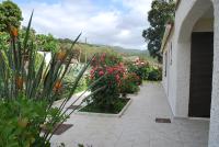 a garden with pink flowers and a walkway at I Casetti in Molini