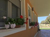A garden outside Villa Arzilla Sardegna
