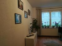 a living room with a window with potted plants at Ferienwohnung Amalie in Apolda