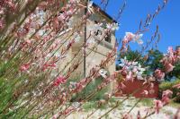 A garden outside Dimora Rosso Piceno