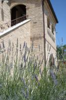 A garden outside Dimora Rosso Piceno
