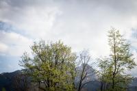 Príroda v okolí privátu