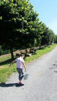 Hosté ubytování Hotel Rural Yeguada Albeitar