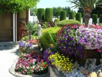 A garden outside Haus Thon