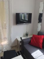 TV a/nebo společenská místnost v ubytování Apartments Ema