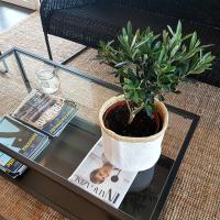 Plán poschodí v ubytovaní Alba Hotel