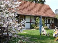 a house with a flowering tree in front of it at Pension-Drews-Ferienzimmer-3 in Grubenhagen