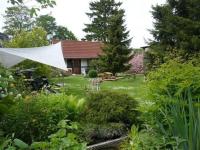 a garden with a house and a horse in the yard at Pension-Drews-Ferienzimmer-3 in Grubenhagen