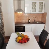 Kuchyň nebo kuchyňský kout v ubytování Apartment Antonio