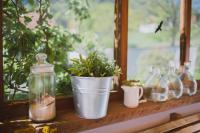 Zahrada ubytování Dreimäderlhaus - Das vegetarische Boutique Hotel