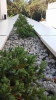 Vonkajšia záhrada v ubytovaní Holiday Home BALTIC z antresolą i balkonem przy plaży