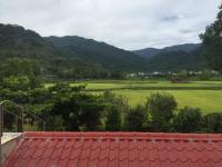 Gallery image of Golden flower Homestay in Yuli