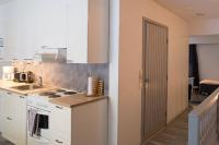 Kuchyň nebo kuchyňský kout v ubytování Guesthouse Borealis Apartments