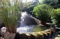 a small pond with a waterfall in a garden at Moonstone Studio in Haad Rin