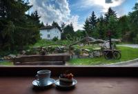 Zahrada ubytování Pinus Villas Lodge with Private Jacuzzi & Phyto-Sauna Retreat