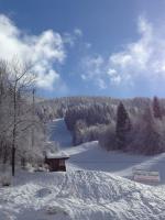 Albergo Slalom v zime