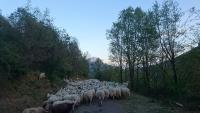 Paisaje cerca de este agroturismo