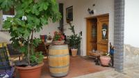 un montón de macetas en macetas en un patio en Casa Mia, en Kassel