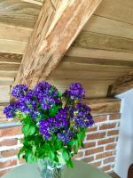 Plán poschodí v ubytovaní Guesthouse Žganjer