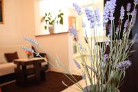 Půdorys ubytování Apartment Anand