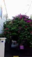 Vonkajšia záhrada v ubytovaní Aegina's Flowers house