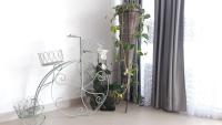 Plán poschodí v ubytovaní Villa-Apartments Karmel