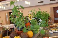 Mâncare la sau în apropiere de acest hotel