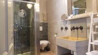 a bathroom with a shower and a sink and a toilet at Bastide De Mazan in Riez