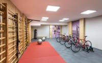 Posilňovňa alebo fitness centrum v ubytovaní Interferie Sport Hotel Bornit