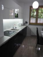 Kuchyňa alebo kuchynka v ubytovaní Apartament RED FLOWERS