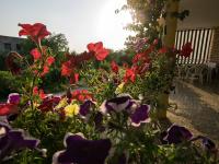 Zahrada ubytování Apartment in Starigrad-Paklenica 6859