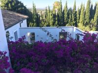 Ogród w obiekcie Villa Los Halcones Sotogrande Golf