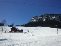 Weideblick v zime