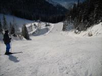 Weideblick v zime