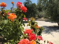Vonkajšia záhrada v ubytovaní Cyan Icons Villas Kalyves Chania
