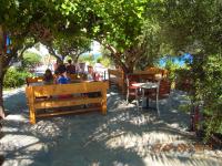 a group of people sitting on benches under trees at Plakias Bay Hotel in Plakias