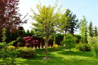 Ogród w obiekcie Hotel Wielkopolanka