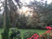 Zahrada ubytování Villa Blanka