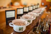 Comida en el hotel o alrededores