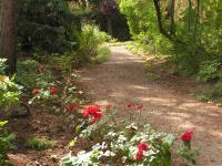 a dirt road with red flowers on it at La Maison de Mireille in Le Puy-en-Velay