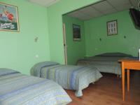 - 2 lits dans une chambre aux murs verts dans l&#39;établissement Hotel De Provence, à Digne-Les-Bains