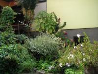 A garden outside Haus Gerstbauer