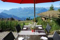 Příroda nedaleko hotelu