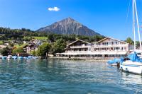 a marina with boats in the water with a mountain at Strandhotel Seeblick in Faulensee