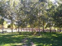 Zahrada ubytování Zamora Apartments