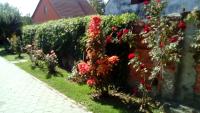 un jardín con flores rojas en una pared de ladrillo en Apartman Peric, en Ðakovo